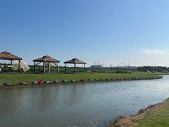 -春花秋色城市公园