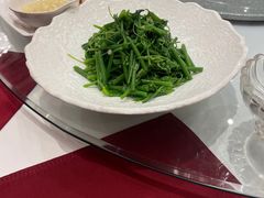 -东阿阿胶文化酒店