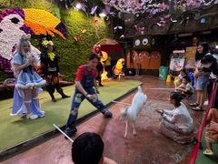 -正佳雨林生态植物园