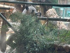 -常州淹城野生动物世界