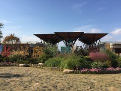 -上海长兴岛郊野公园