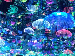 -天津梵高星空艺术馆(天河城旗舰店)