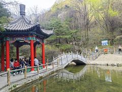 -王顺山国家森林公园