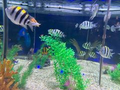 -烟台海昌鲸鲨海洋公园