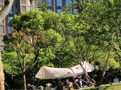 -新江湾城公园