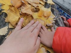 -百林公园-两江幸福广场