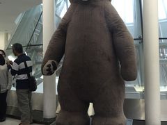 -济州岛泰迪熊博物馆