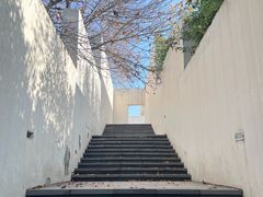 -石家庄市植物园