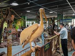 -海合安武汉极地海洋公园