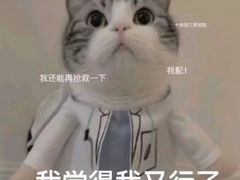 -华东政法大学(松江校区)