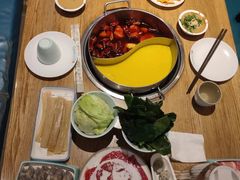 -青瓷火锅料理(西单大悦城店)