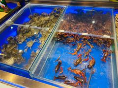 水产区-渔公码头海货全海鲜自助(海滨旅游路店)