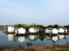 -金卉庄园