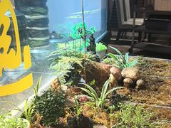 -福照楼汽锅鸡·云南特色菜(护国路店)