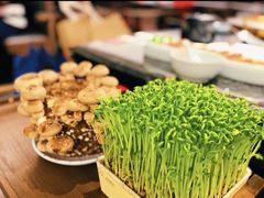 -捞王猪肚鸡火锅(昆山店)