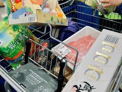 -山姆会员商店(上海浦东店)