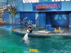 -苏州海洋馆