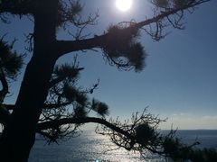 iphone_upload_pic-柱状节理带