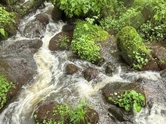 -五营红松林海景区