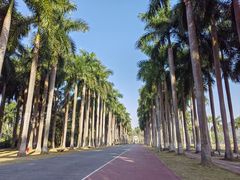 -南宁花花大世界景区