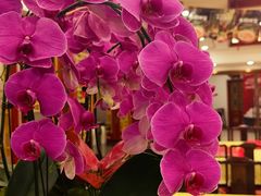 -同和居(什刹海店)