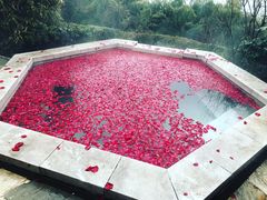 景点-天目湖涵田半山温泉