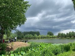 -东郊湿地公园