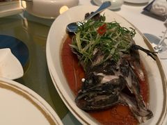 东星斑清蒸-金轩中餐厅 Jin Xuan(浦东丽思卡尔顿酒店)