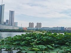 -天鹅湖体育公园