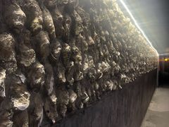 -囧吉香生蚝牛排馆(湖北路店)