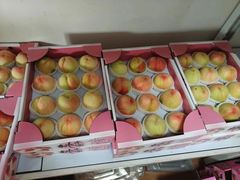 -南汇新场正宗水蜜桃采摘