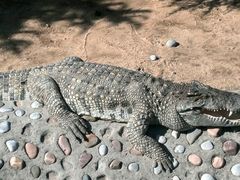 -石家庄市动物园