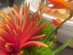 -南堂馆·新川菜(春熙路店)