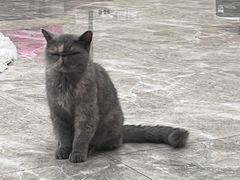 -东方之珠洗浴休闲广场(南开店)