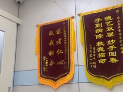 -中农国际动物医院24小时·猫科·骨科·急重症中心