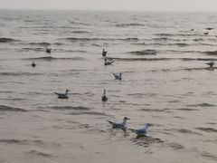 -老虎石海上公园