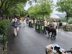 -杭州野生动物世界