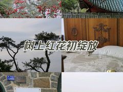 -莫干山风景区