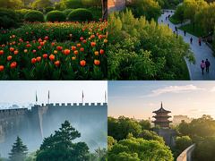 -洛阳市隋唐城遗址植物园