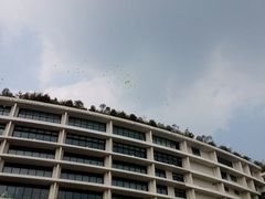 -天目湖涵田度假村