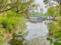 -二一九公园