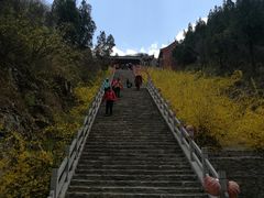 -井塘古村
