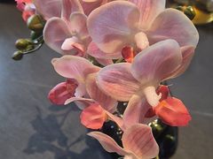-上和臻品中国菜(花园街店)