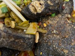 -龚记长沙臭豆腐(向西店)