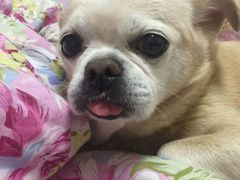 -康乐宝动物医院