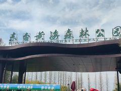 -黄海国家森林公园