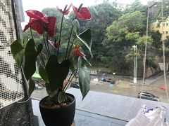 -泰谷酒店·太古码头闽菜自助餐厅