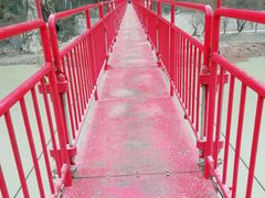 -汉中石门栈道景区