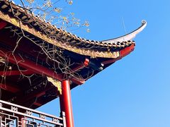 -顺峰山公园