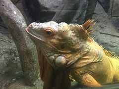 -福州罗源湾海洋世界旅游区